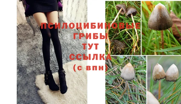 каннабис Ельня