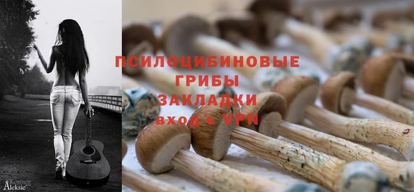 apvp Сосновка