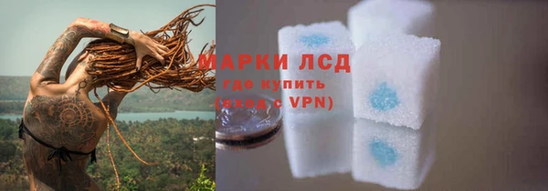 эйфоретик Елизово