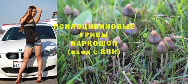 каннабис Ельня