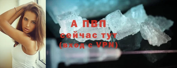 эйфоретик Елизово