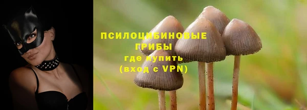 a pvp Струнино