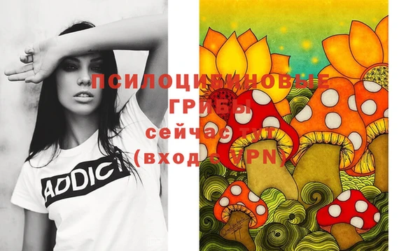 прущая мука Дмитров