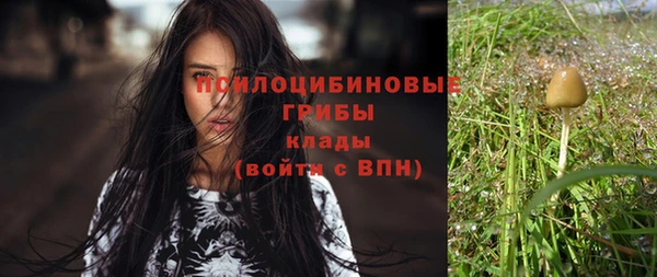 apvp Сосновка