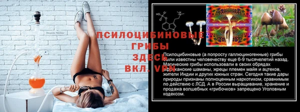 герыч Елабуга