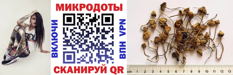 Галлюциногенные грибы Magic Shrooms ОМГ ОМГ маркетплейс Братск