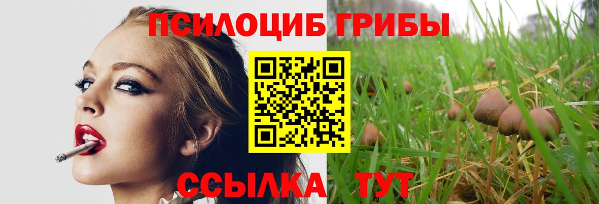 Галлюциногенные грибы Psilocybine cubensis  Вход с VPN  Братск 
